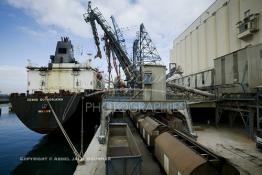 Image du Maroc Professionnelle de  Les Doc Silos au port de Casablanca, des installations modernes aspirant le blé directement dans les cales des navires couvrant 70% des besoins en grains du Maroc. 31 Décembre 2003. (Photo / Abdeljalil Bounhar)

 